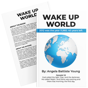 Wake Up World (Hardcover)